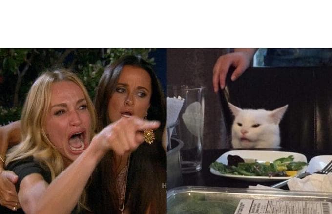 The Woman Yelling at Cat meme template