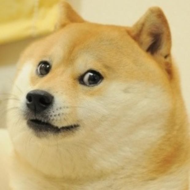 The Doge meme template, one of the most iconic meme formats
